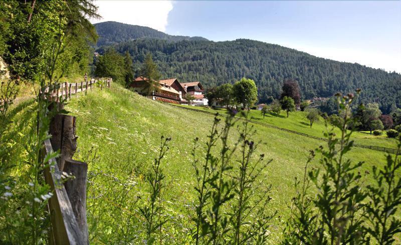 Naturhotel Wieserhof Hotel 3*