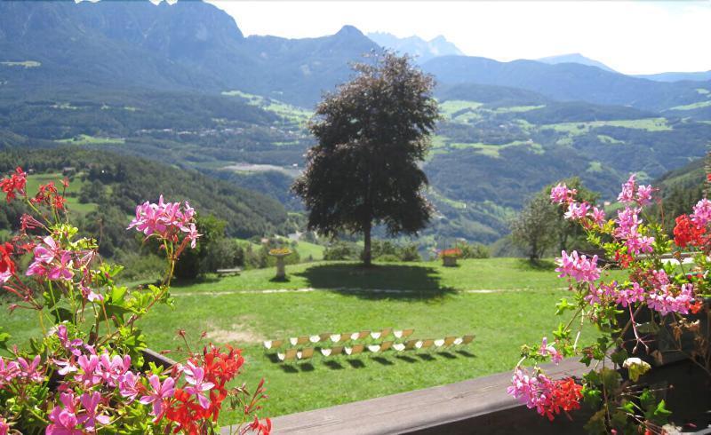 Naturhotel Wieserhof 3* Longostagno
