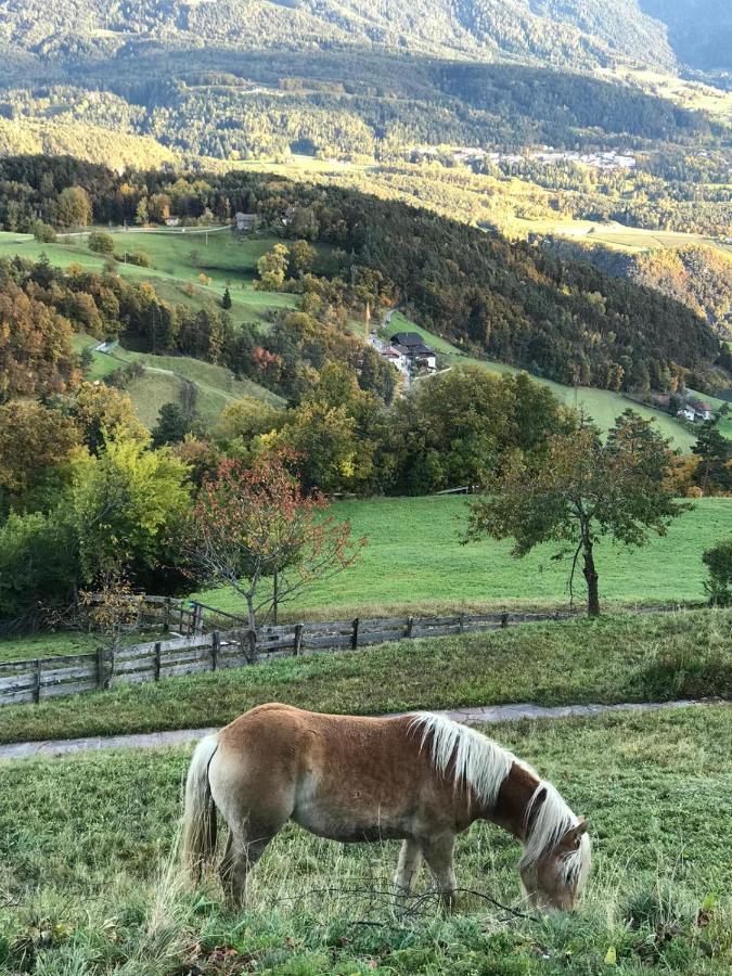 Naturhotel Wieserhof 3* Longostagno
